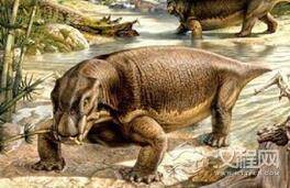 不敢相信!曾经的地球霸主竟然长得跟猪很像