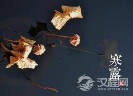 寒露这个节气后气温偏低饮食上要注意什么