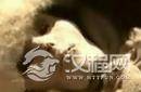 汉代女尸不腐之谜：千年古墓竟挖出女活人?