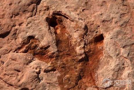 四川发现巨大恐龙足迹是真的吗?是什么恐龙的脚印?