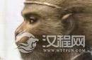 孙悟空形象还原：可能真不是六小龄童那个样子？