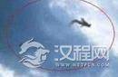 营口坠龙事件：揭秘中国最后一条真龙现身