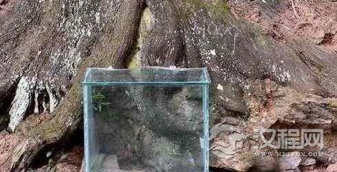 蜀道之难难於上青天，千年汉砖竟压于玻璃之下