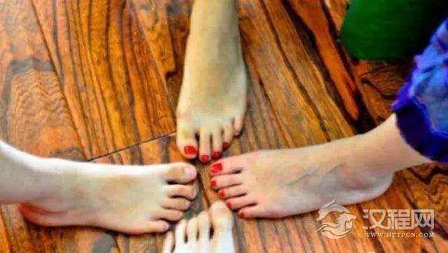 小蹄子是什么意思,为啥在红楼梦中是骂人的话?