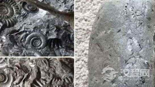 海外男子捡一石头回家收藏35年,裂开后竟发现价值不菲