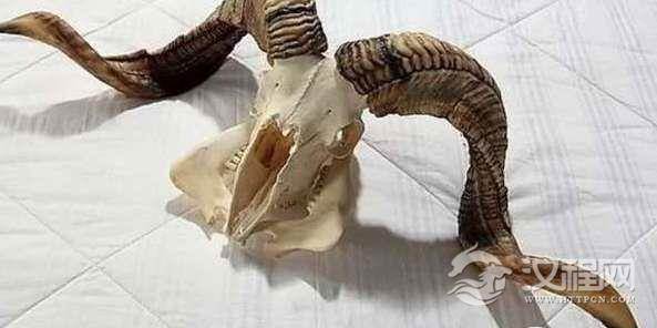 古代竟然真的存在这四种奇葩兵器，没几个人知道