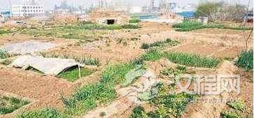 昔日汉武帝神明台如今却沦为菜地,村里老人:心痛啊