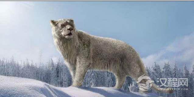 这是史上最大的狮子，残暴狮肩高1.4米重达400公斤