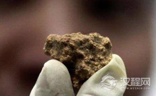 世界上最古老的奶酪，距今3600年历史(真空包装保存完好)