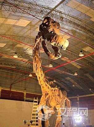 世界上最大的恐龙化石：泰坦巨龙身长40米重77吨（相当于14头大象）