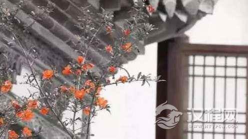 为什么“前不栽桑,后不栽柳”?有什么意思?