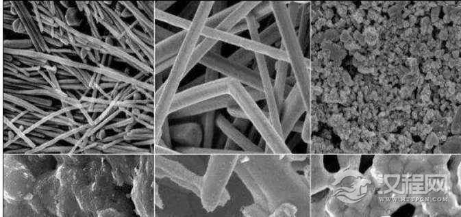世界上最神奇的细菌，食电细菌以电为食或将成为新能源