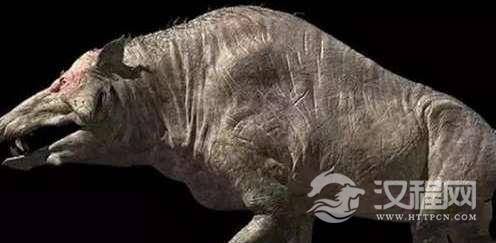 远古时期的猪长什么样?最早的家猪竟然长这样?