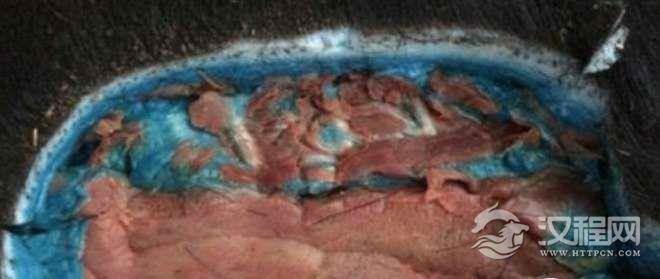 世界上最奇特的野猪，蓝血野猪的脂肪全都是蓝色的