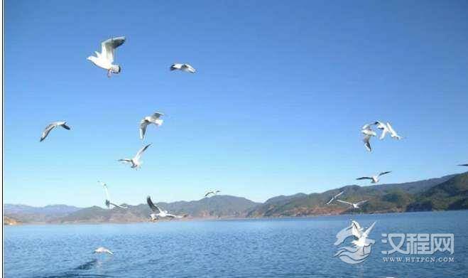 我国最大的咸水湖是青海湖，面积有4583平方公里