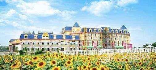 世界上最大的葵园,广州百万葵园100万株获吉尼斯认证