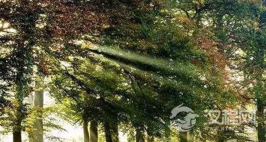 目前地球上的氧气含量正好适合人类,科学家:如果氧气浓度翻倍可能出现“恐龙”