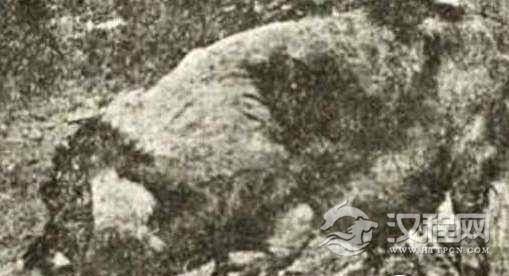 揭秘:1923年“人畜轮回转世”事件,前因后果简述