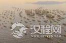 第一水军大明水师：三百年历史未尝败绩
