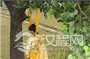 吊死崇祯皇帝的那颗树 如今竟引来大量游客参观