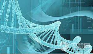 我们的遗传基因来于一个非洲的现代人种群?