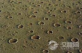 揭秘非洲沙漠上的精灵怪圈究竟是什么东西？