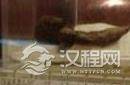 汉代女尸凌惠平：能保持样貌千古不腐之谜