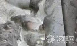 古墓惊现畸形头骨 疑似外星人头骨？