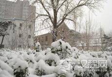 揭秘为什么一下雪世界就会变得很安静呢