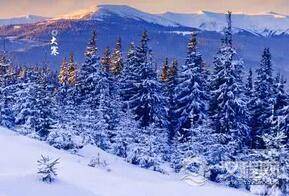 揭秘大寒节气中北方必须准备的主食是什么？