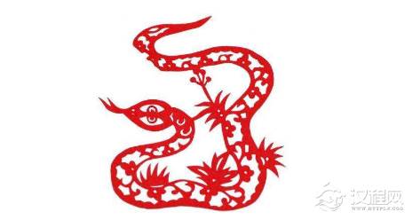 天文专家：2013农历癸巳蛇年是平年只有355天