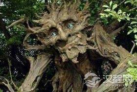 世界上真有食人树吗：奠柏树吃人的传说
