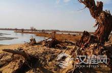 中国古代历史上著名的西域都护府在什么地方？