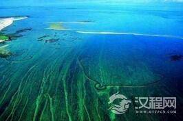 揭秘海上坟墓：揭秘吞噬性命的马尾藻海