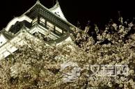 奇闻轶事：古代的古人们赏樱其实赏的是樱桃花？