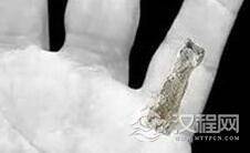 考古大发现：185万年前神秘巨人指骨