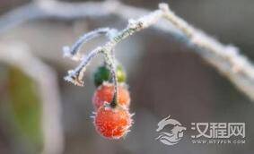 二十四节气霜降这个节气有什么样的风俗？