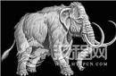 猛犸象为何突然神秘消失了?原因竟是这个