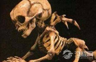 传说中的天使真的存在吗：天使骨骸被发现