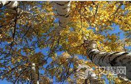 处暑节气由来：二十四节气中处暑有何传统习俗