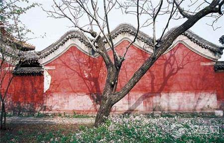 故宫的神秘园：揭秘紫禁城里的寡妇王国