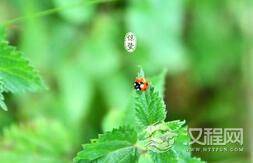 关于惊蛰节气你不可以不知道的三个习俗