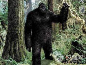 ＂大脚怪＂的身份:人类与灵长类动物杂交而成