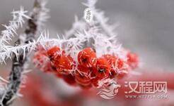 二十四节气中的霜降这个节气有何风俗习惯？