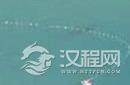 青海湖水怪之谜揭开：龙吸水真龙现身被拍下