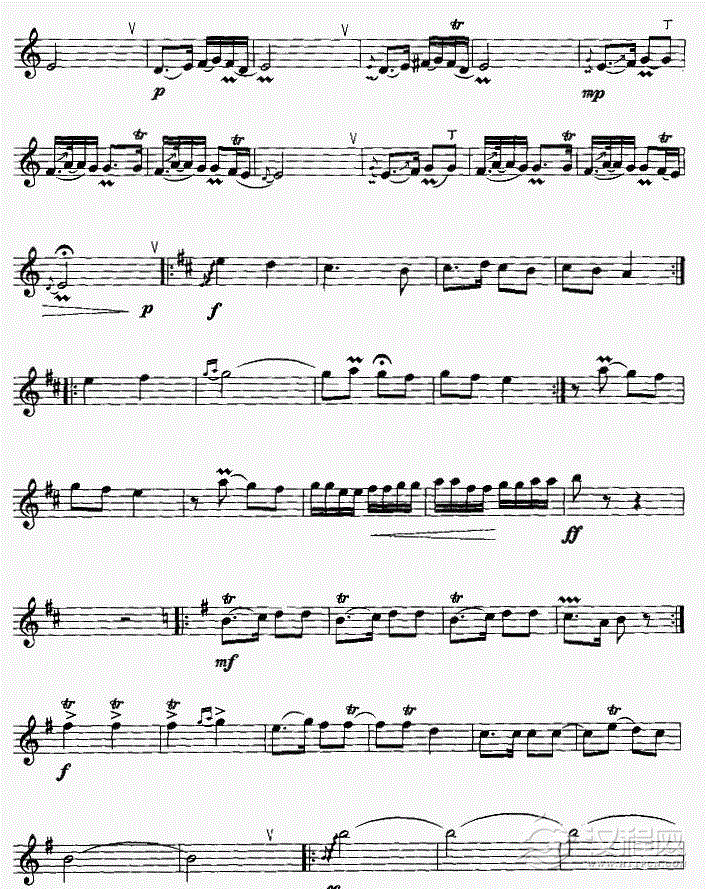 美丽的沙力库力（竖笛独奏）笛箫谱