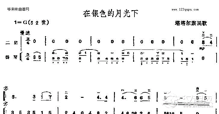 在银色的月光下