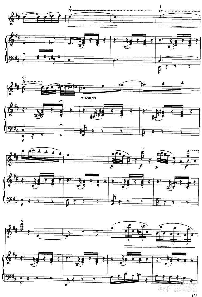 卡门主题幻想曲（钢伴谱）20二胡谱