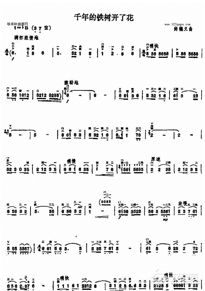 千年的铁树开了花