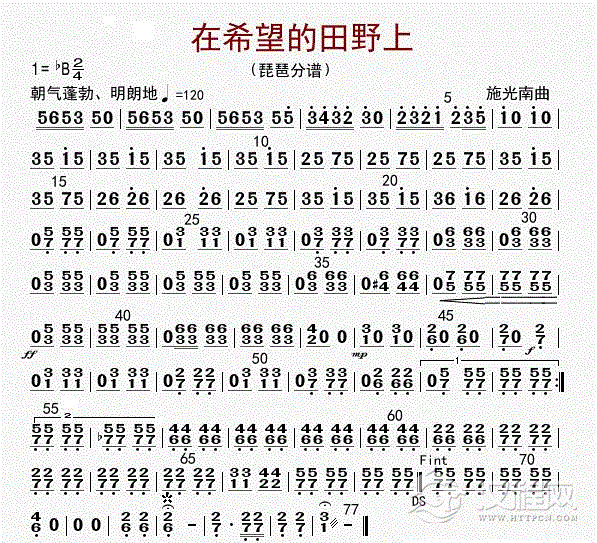 在希望的田野上（琵琶分谱）_简谱